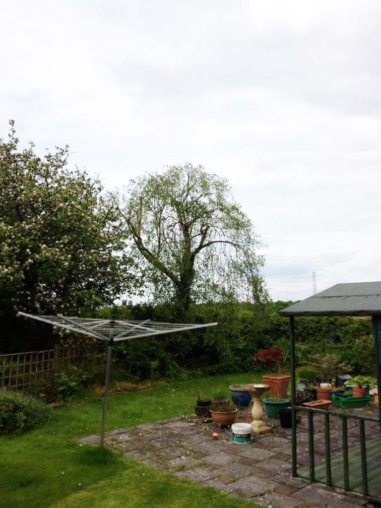 Garden left tidy after the job