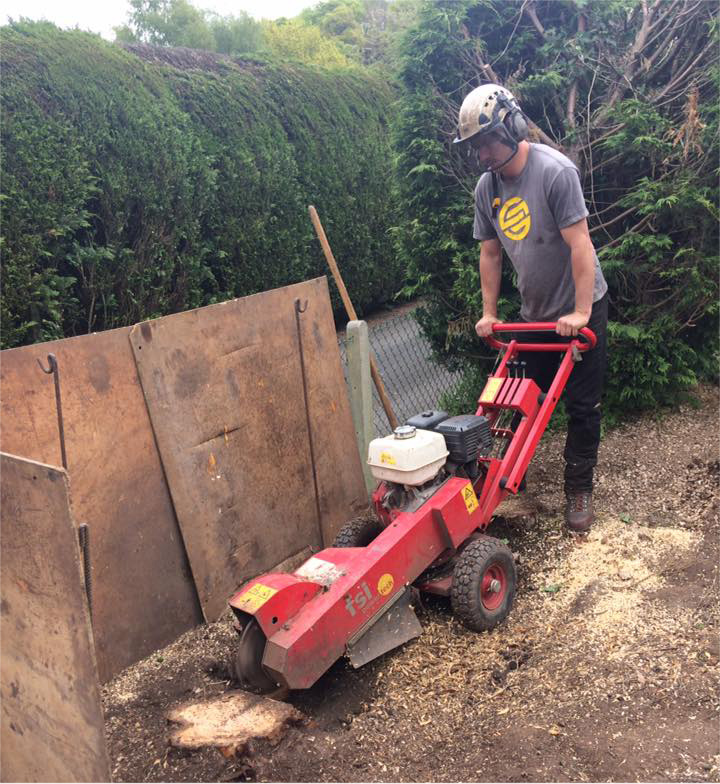 A King Tree operative in full PPE operating a stump grinder.